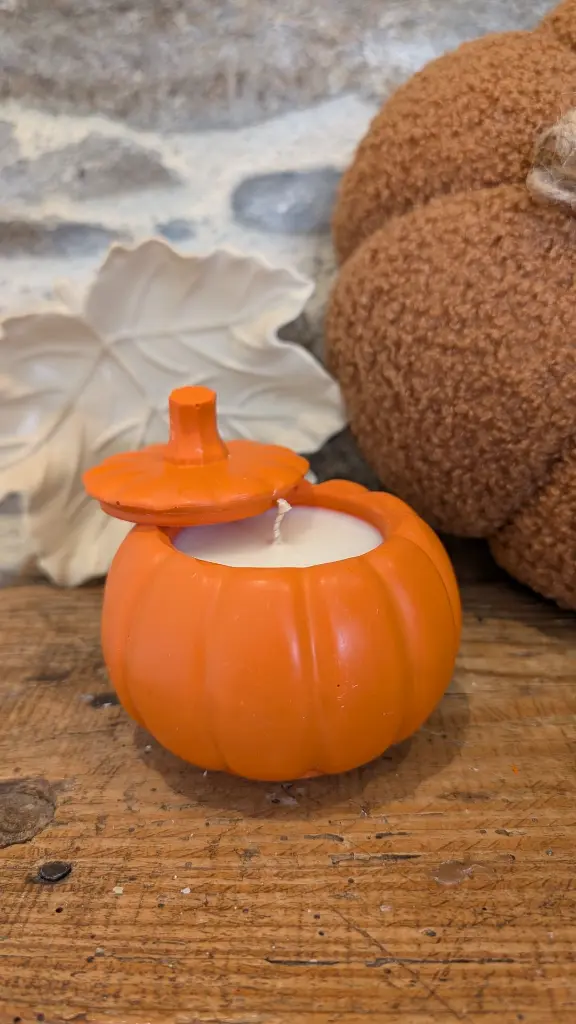 citrouille orange 2.webp