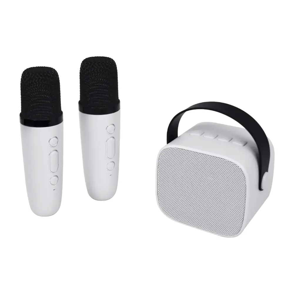 Enceinte karaoké + 2 micros sans fil