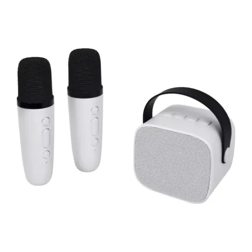 [PARTYK2MICWH] Enceinte karaoké + 2 micros sans fil