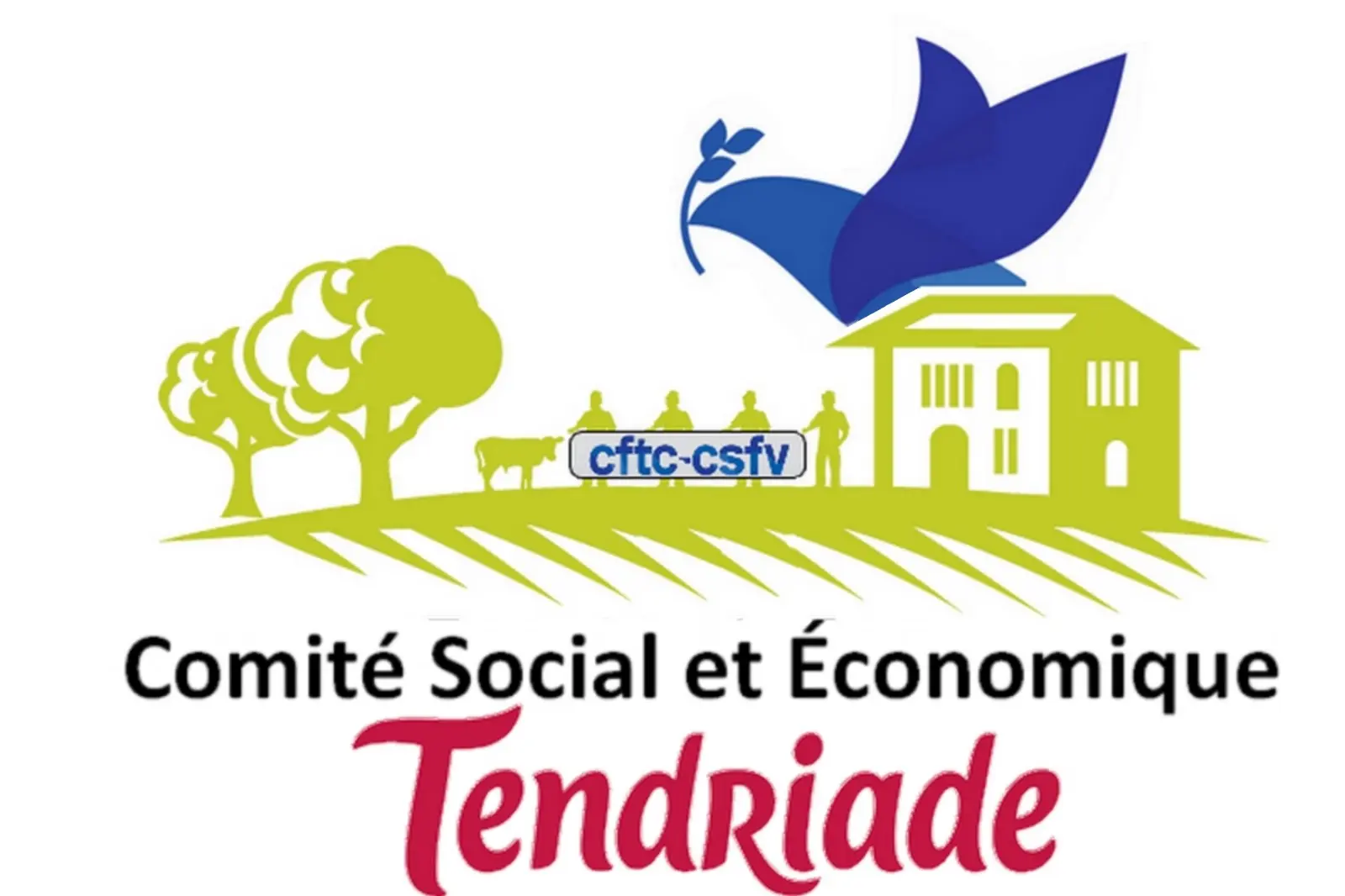 Tendriade catalogue